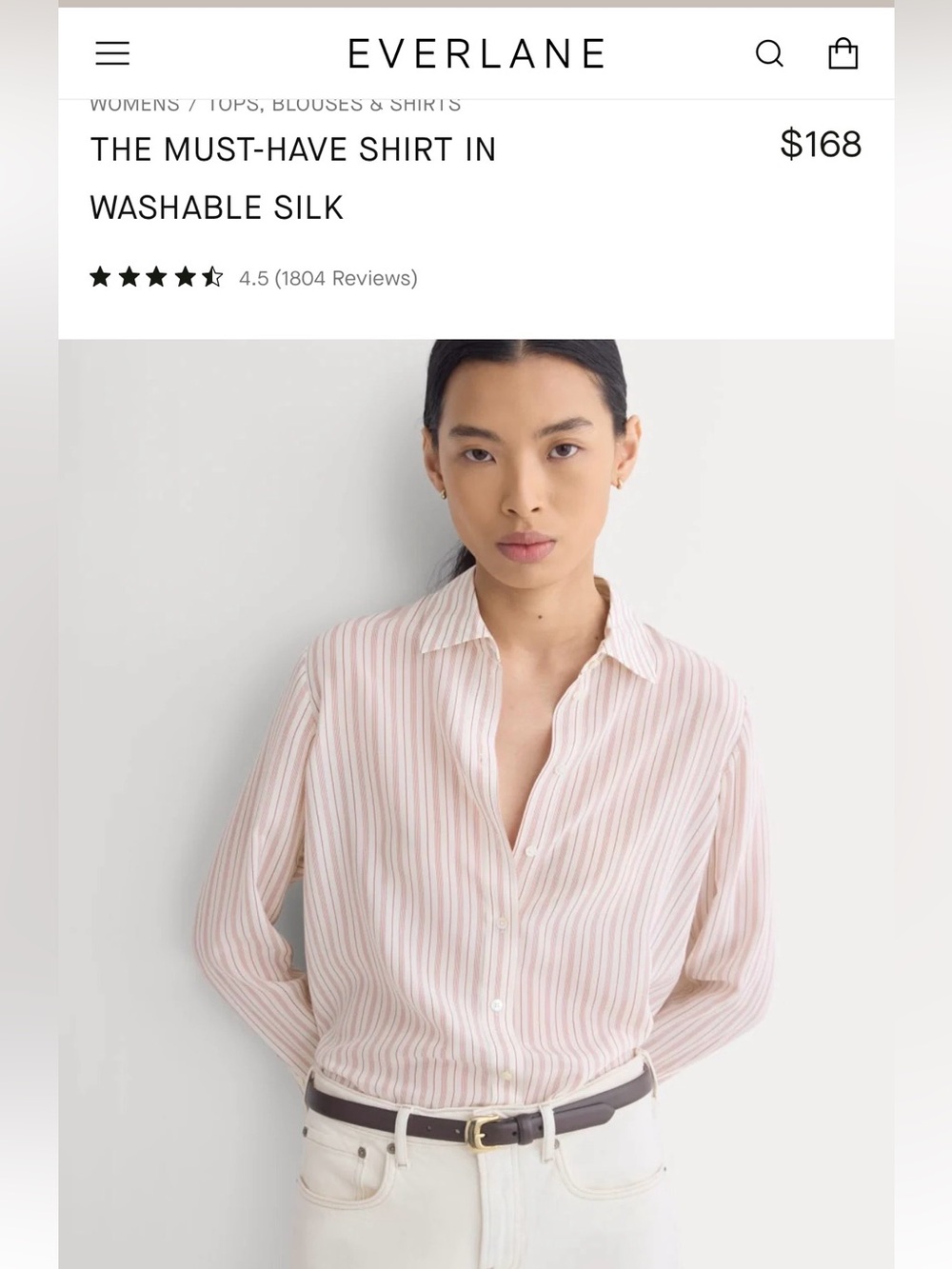 Everlane Must Have Shirt in Washable Silk
